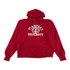 Champion Stanford University Hoodie