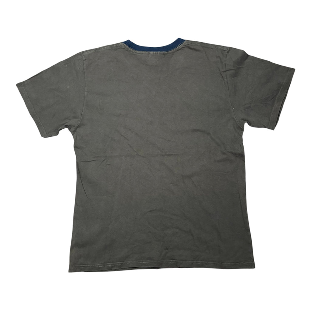 Gray Nike with Blue stripes T-Shirt