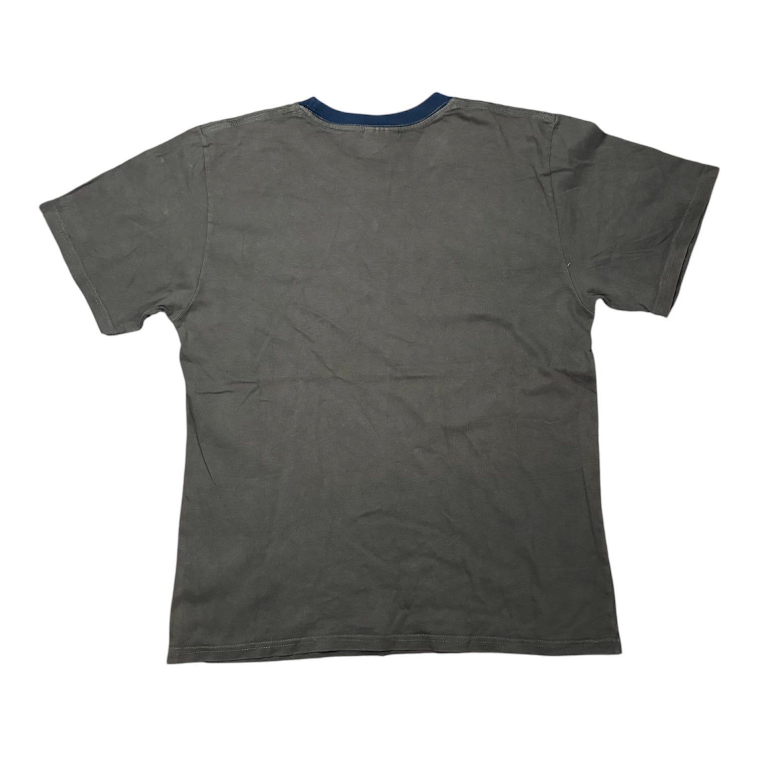 Gray Nike with Blue stripes T-Shirt