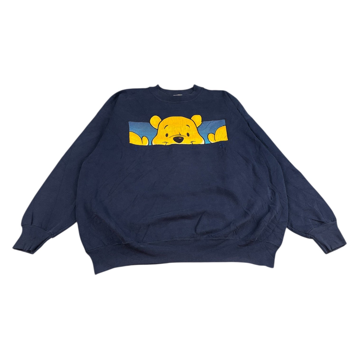 Winnie Pooh x Disney Sweatshirt