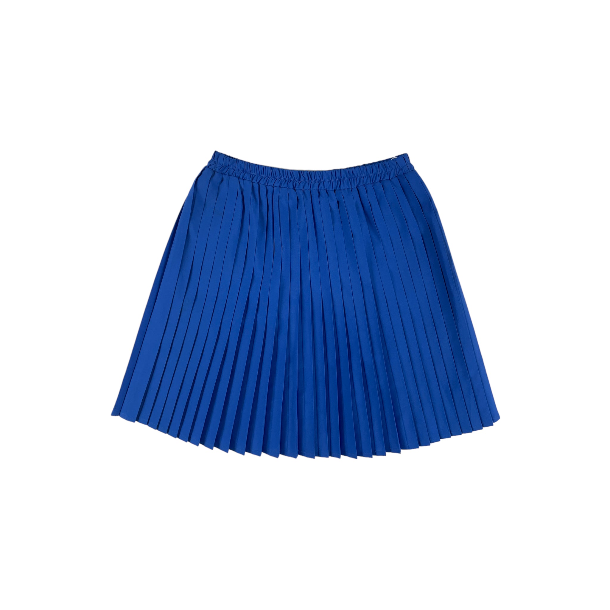 Vintage Blue Skirt